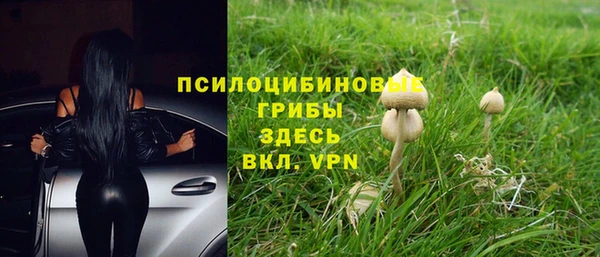 apvp Белокуриха