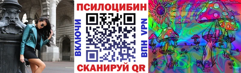 Купить закладки  Кяхта  Галлюциногенные грибы Magic Shrooms 